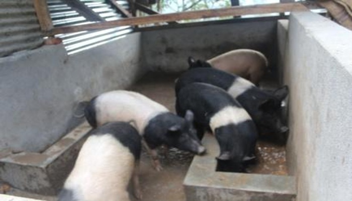 ARYA Success story 1